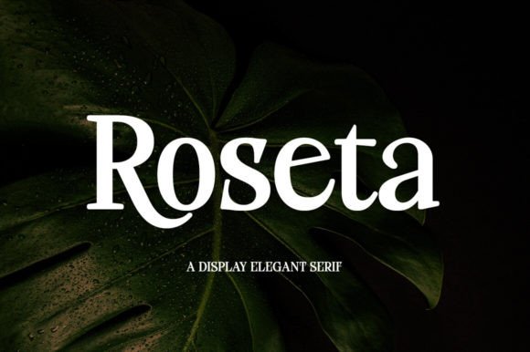 Elevating Brand Identity with Roseta: The Script Font for Modern Luxury